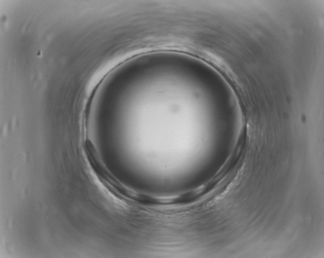 X0000070241520200606051112