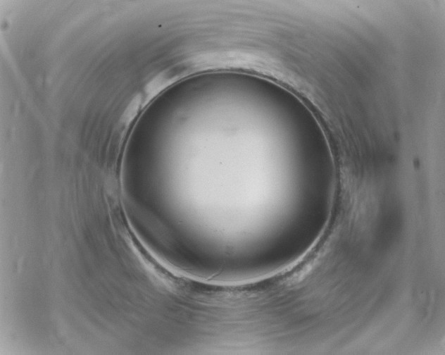 X0000070241521200606051112