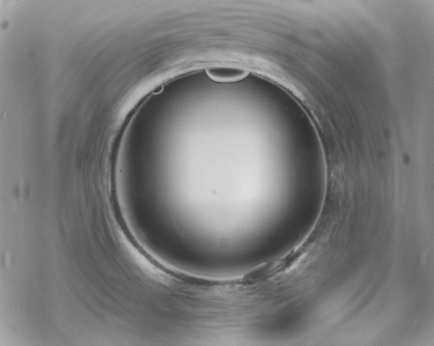 X0000070241523200606051112