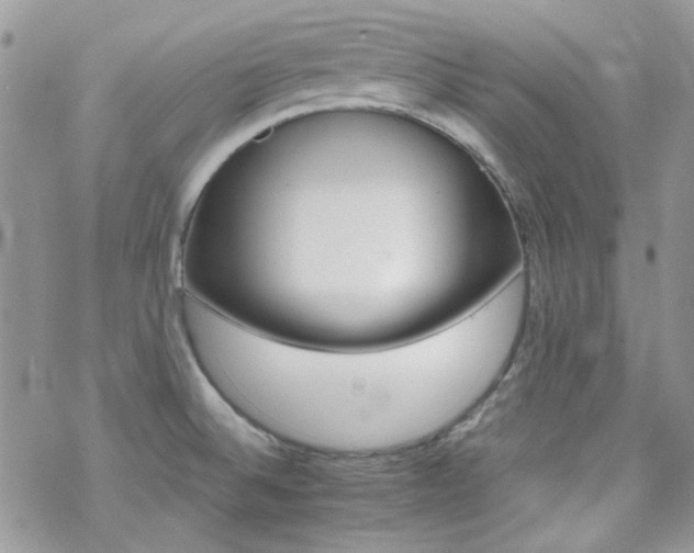 X0000070241524200606051112