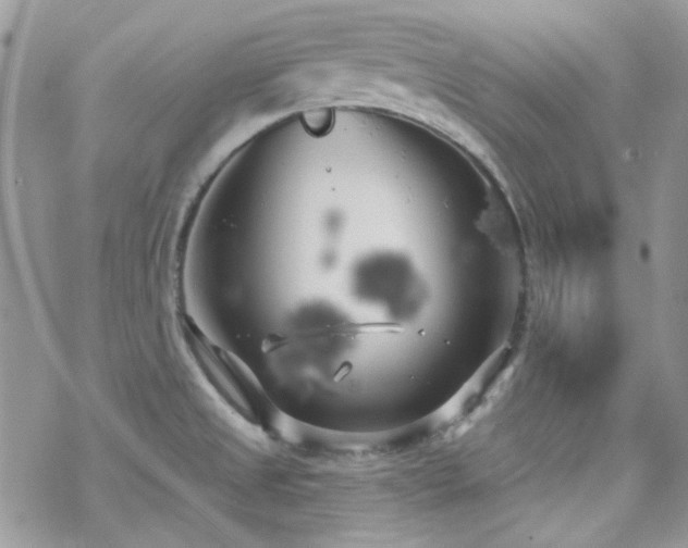 X0000070241525200606051112