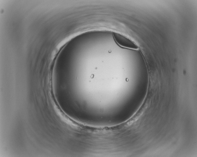 X0000070241526200606051112