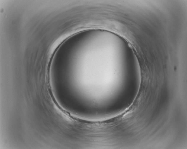 X0000070241527200606051112