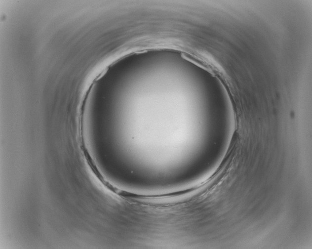 X0000070241528200606051112