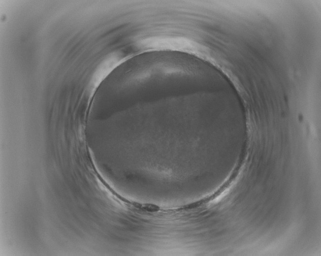 X0000070241529200606051112