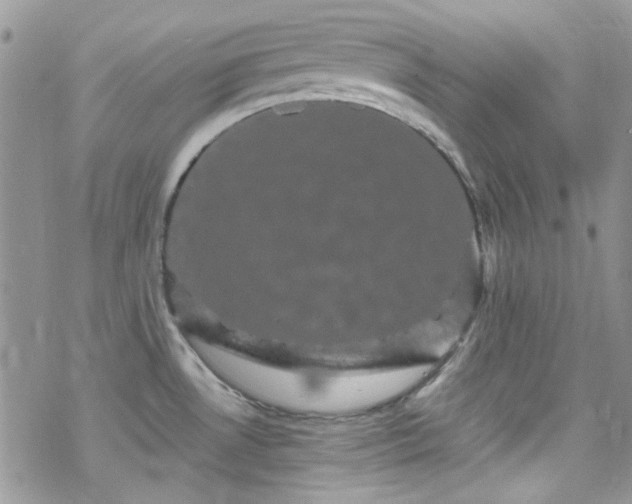 X0000070241530200606051112