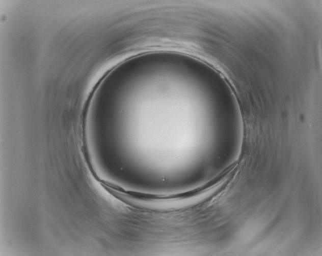 X0000070241531200606051112