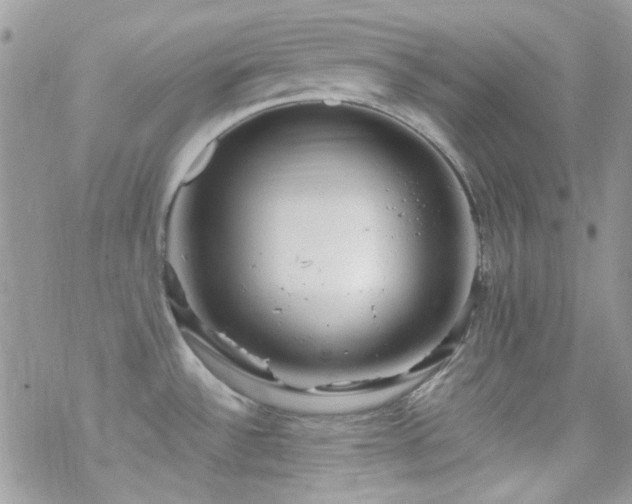 X0000070241532200606051112