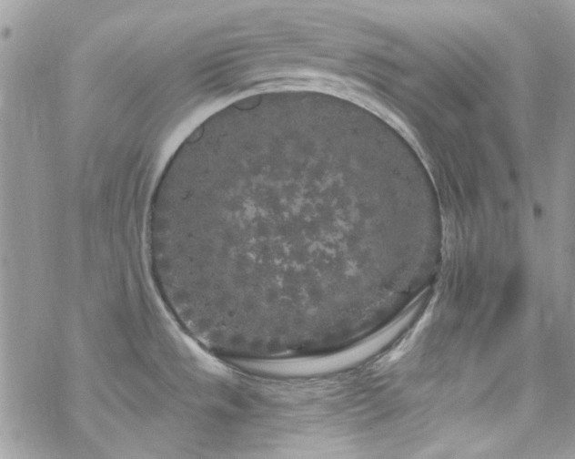 X0000070241533200606051112