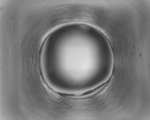 X0000070241534200606051112