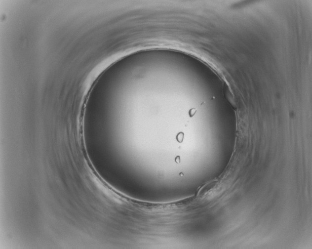 X0000070241535200606051112