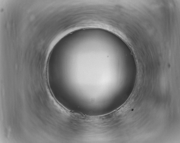 X0000070241536200606051112