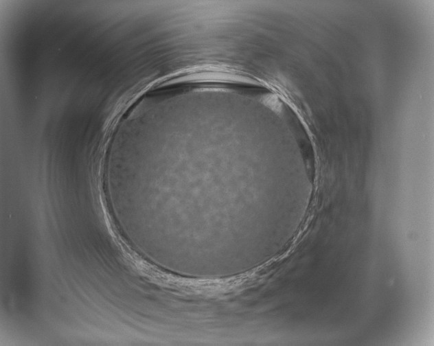 X0000070240001200606091347