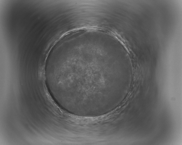 X0000070240002200606091347