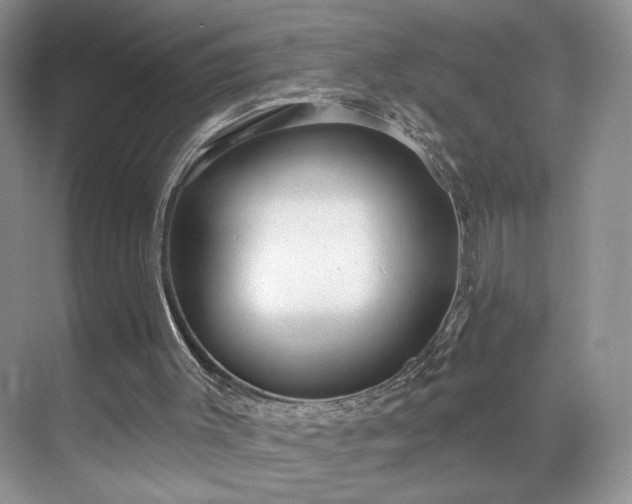 X0000070240003200606091347