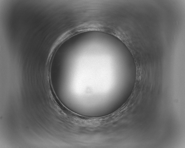 X0000070240004200606091347