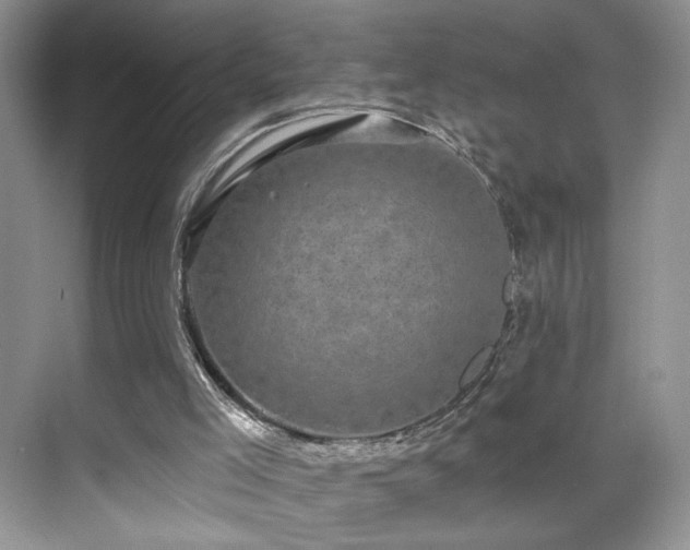 X0000070240005200606091347