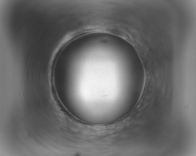 X0000070240006200606091347