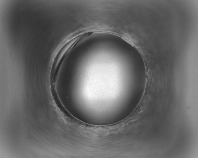 X0000070240007200606091347