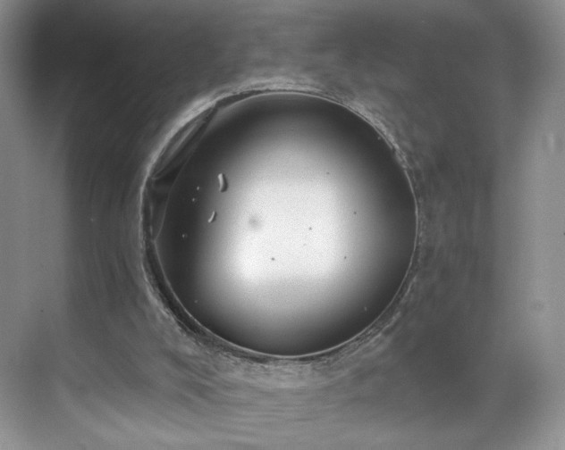 X0000070240008200606091347