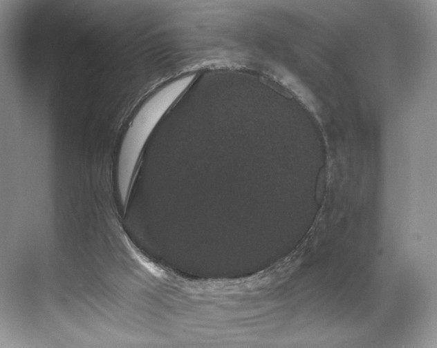 X0000070240009200606091346