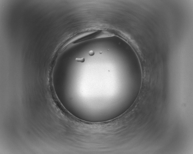 X0000070240010200606091346