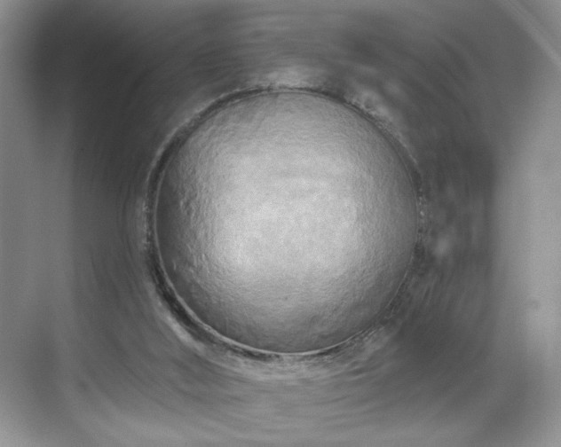 X0000070240012200606091346