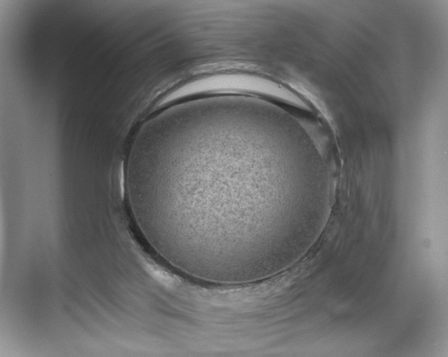 X0000070240013200606091346