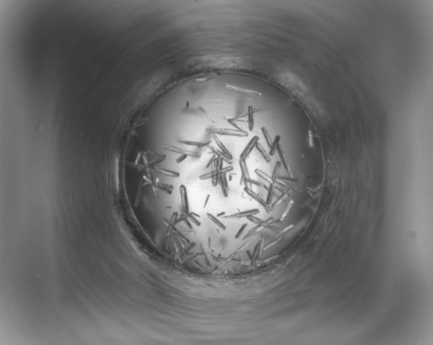 X0000070240014200606091346