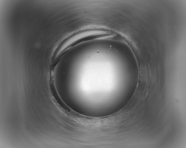 X0000070240015200606091346