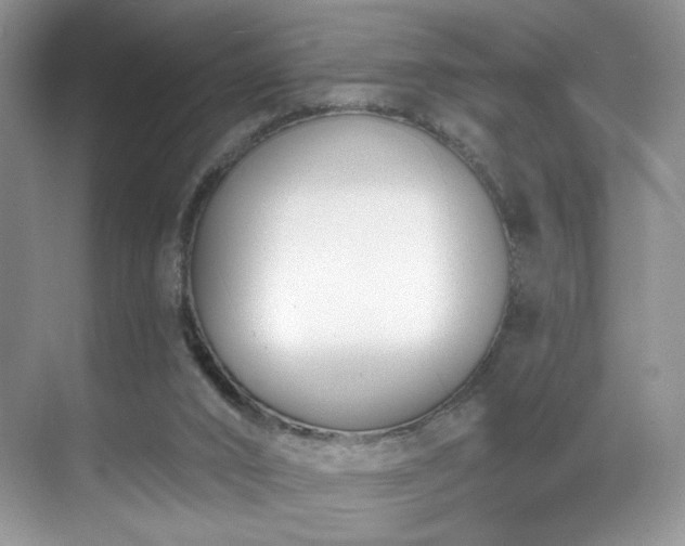 X0000070240016200606091346