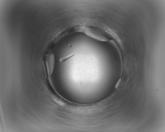 X0000070240017200606091346