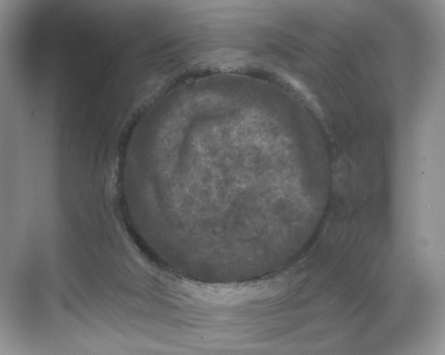 X0000070240018200606091346