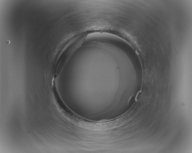 X0000070240019200606091346