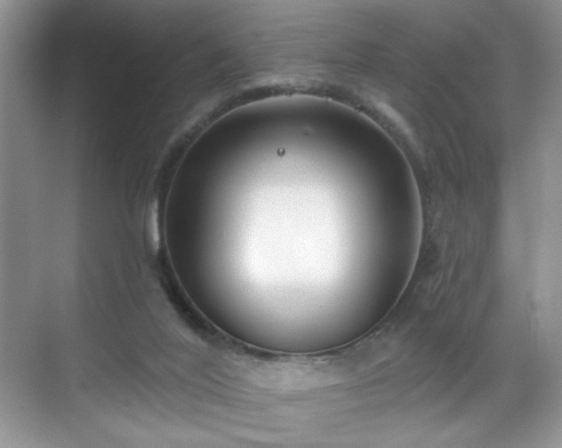 X0000070240020200606091346