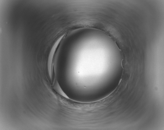 X0000070240021200606091346