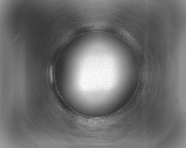 X0000070240022200606091346