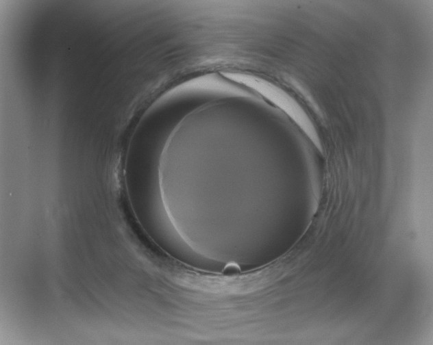 X0000070240023200606091346