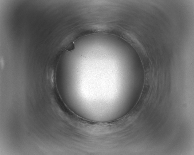 X0000070240024200606091346