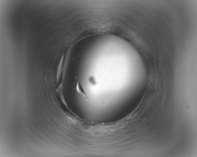 X0000070240025200606091346