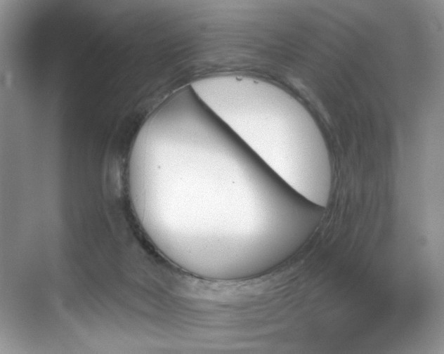 X0000070240026200606091346