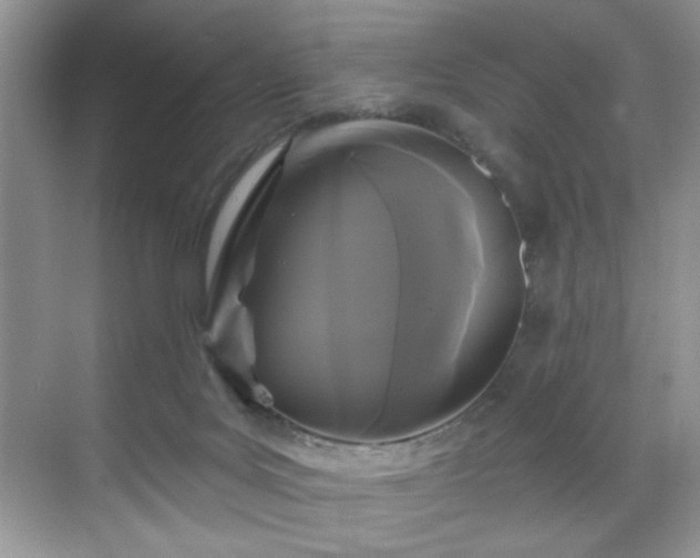 X0000070240027200606091346