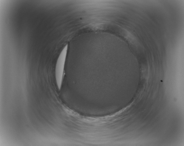 X0000070240029200606091346