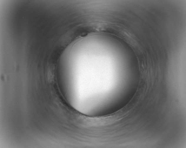 X0000070240030200606091346