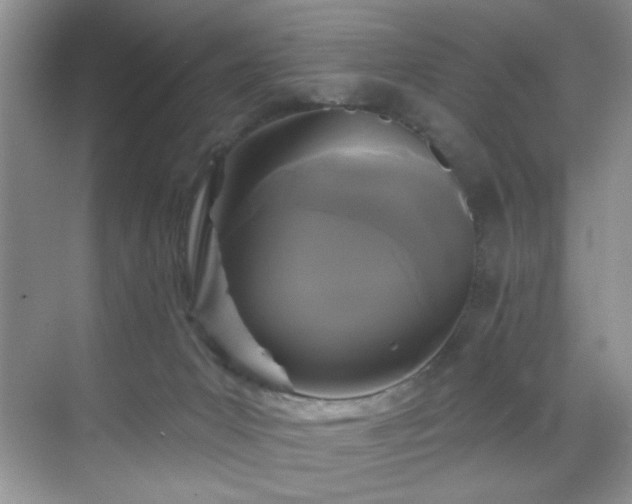 X0000070240031200606091346