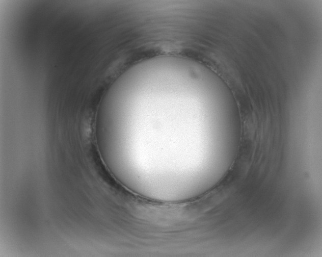 X0000070240032200606091346