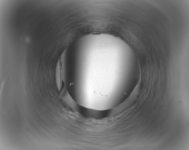 X0000070240033200606091346