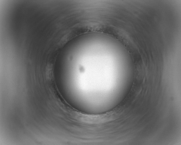 X0000070240034200606091346