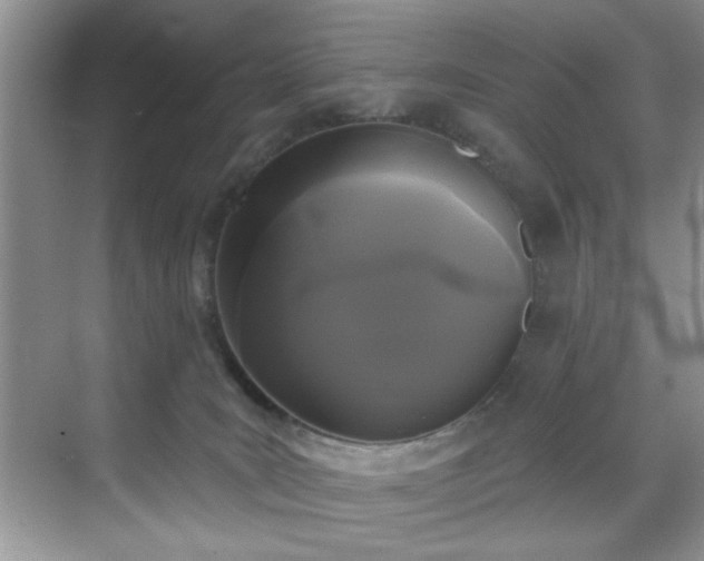 X0000070240035200606091346