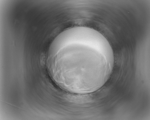 X0000070240036200606091346